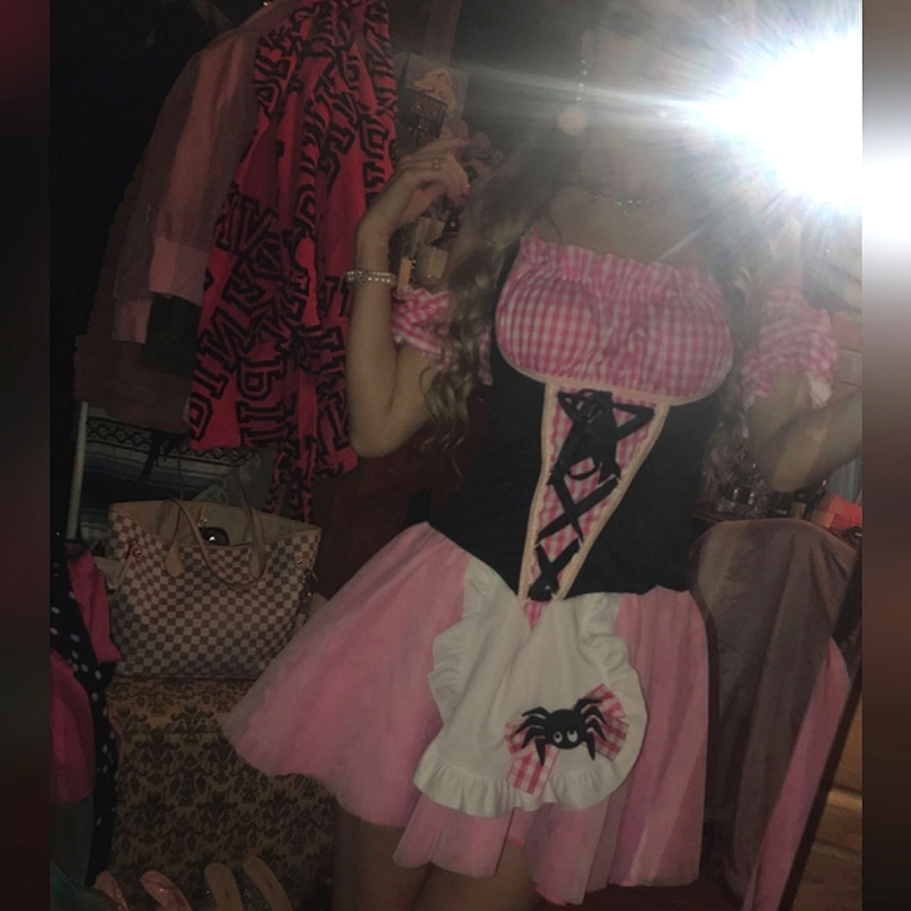 S/M LIL MISS MUFFET LEG AVENUE PINK GINGHAM PLAID DRESS HALLOWEEN COSTUME - Picture 10 of 14